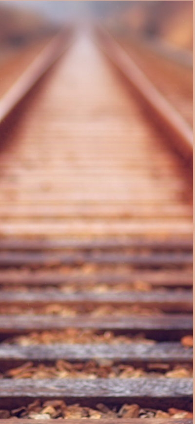 Giornata della Memoria  - eventi commemorativi in Municipio 2